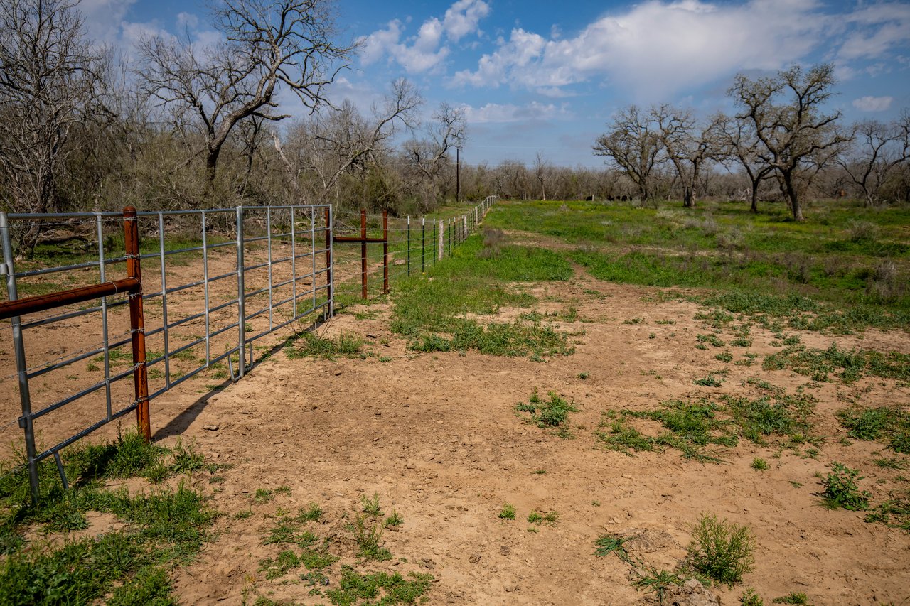 Dry Hollow Creek Ranch | 21.96± Acres | Bexar County