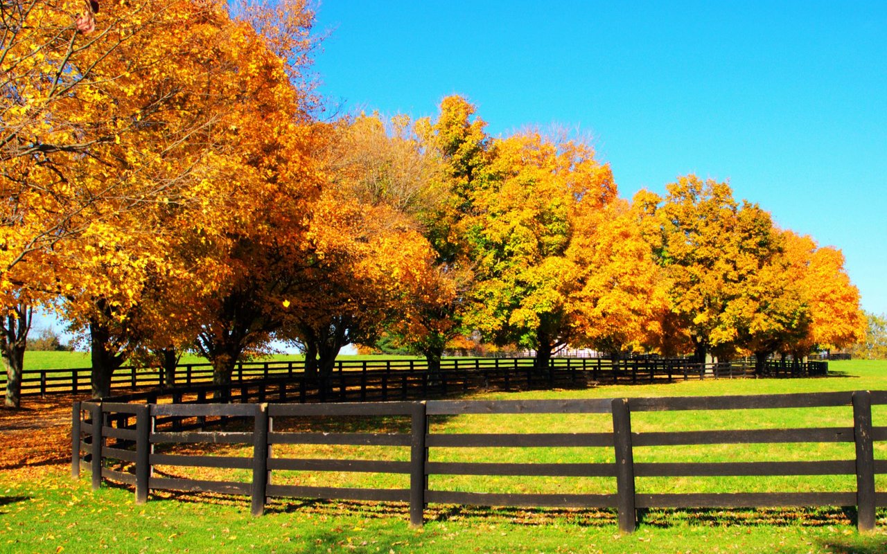 Wilson County