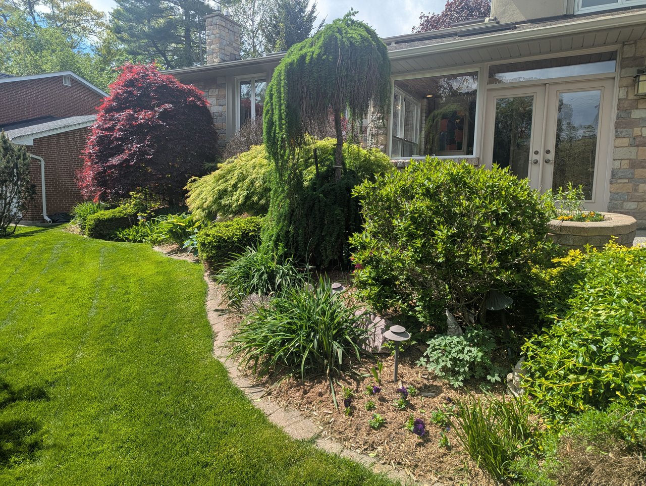 1443 Birchwood Dr