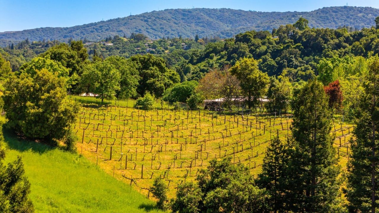 14170 Baleri Ranch Road