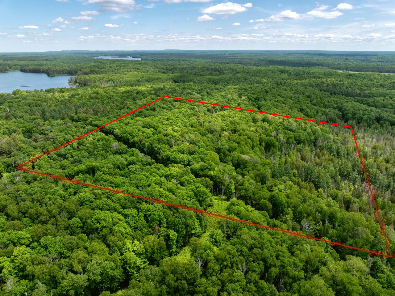 33 Acres Buffalo Lake Road