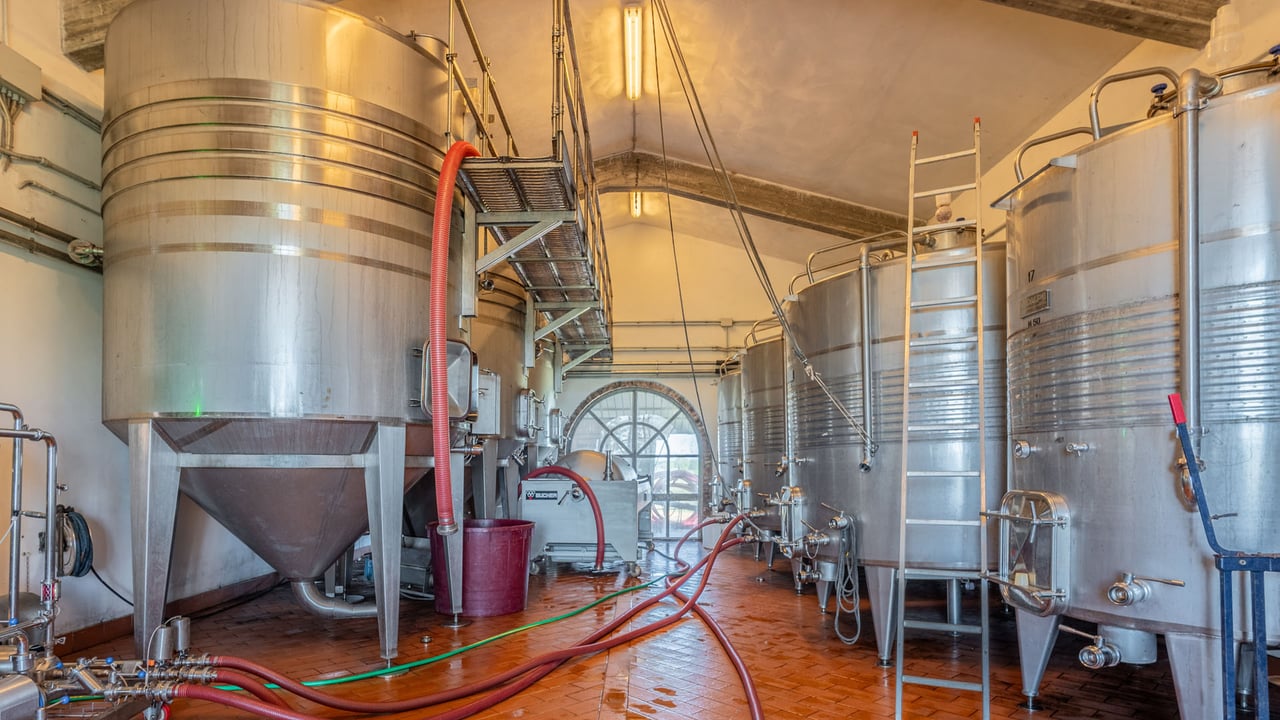 LA VIGNA ANTICA