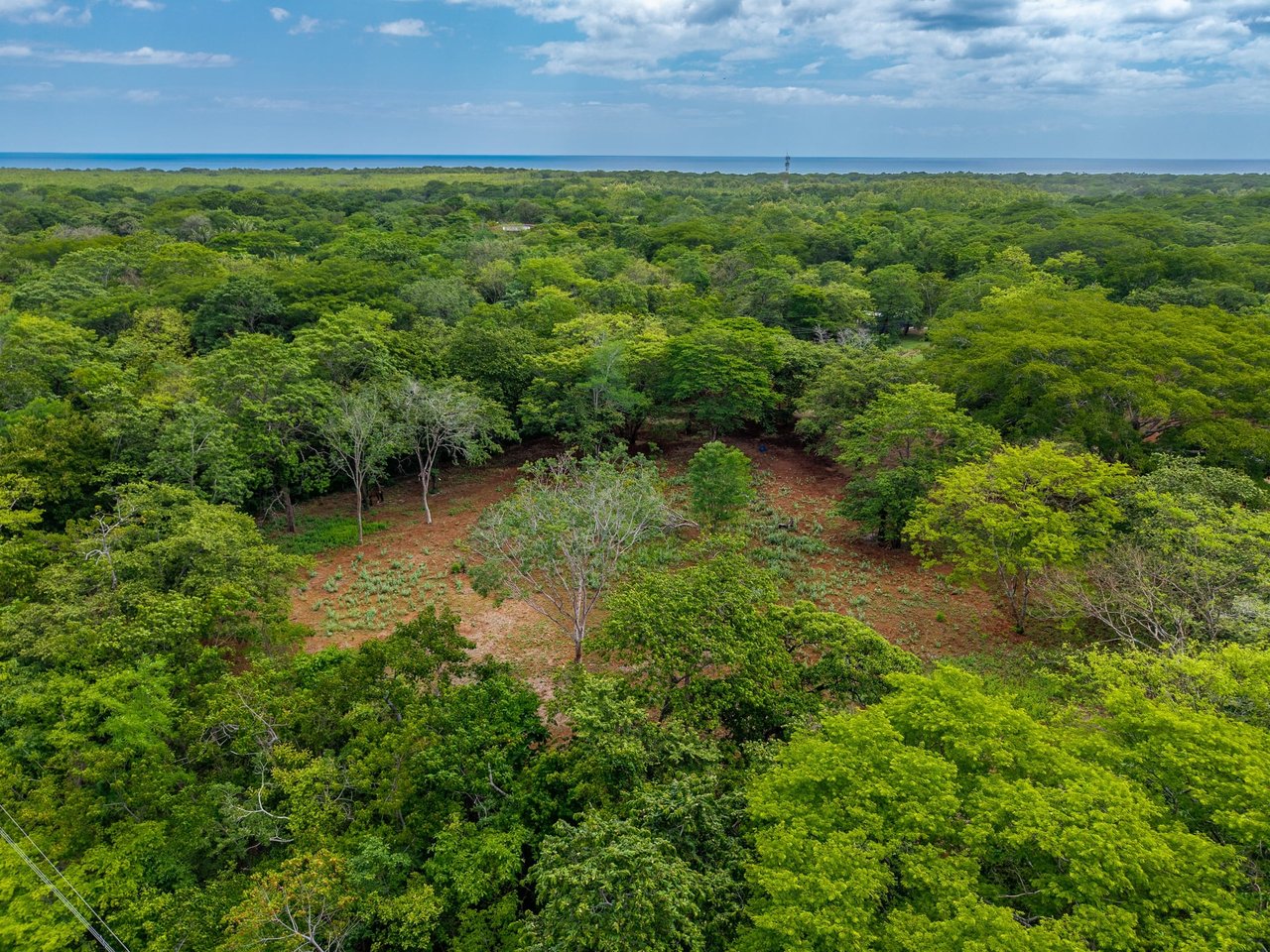 Hammock Plantación | Spacious Agricultural Land Near Playa Negra