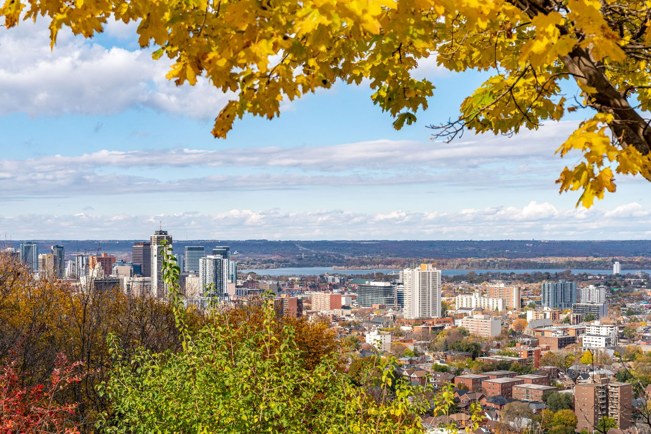 Panoramic Views from Hamilton Brow