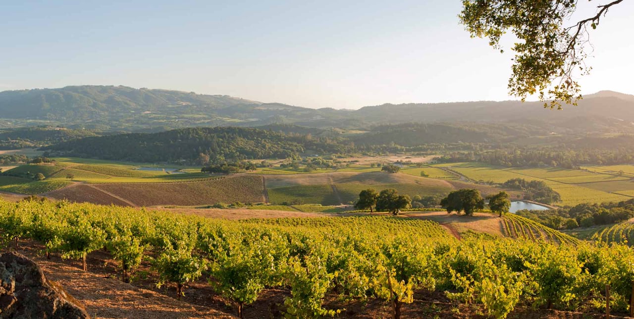 The Ins and Outs of Wine Country Real Estate