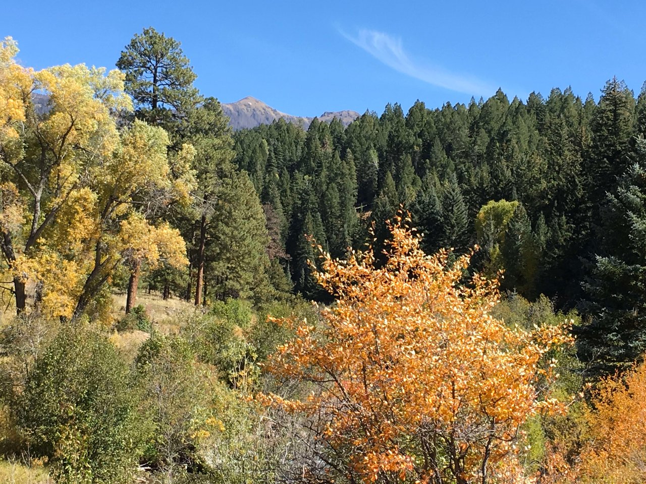 Southern Colorado Riverfront Mountain Ranch