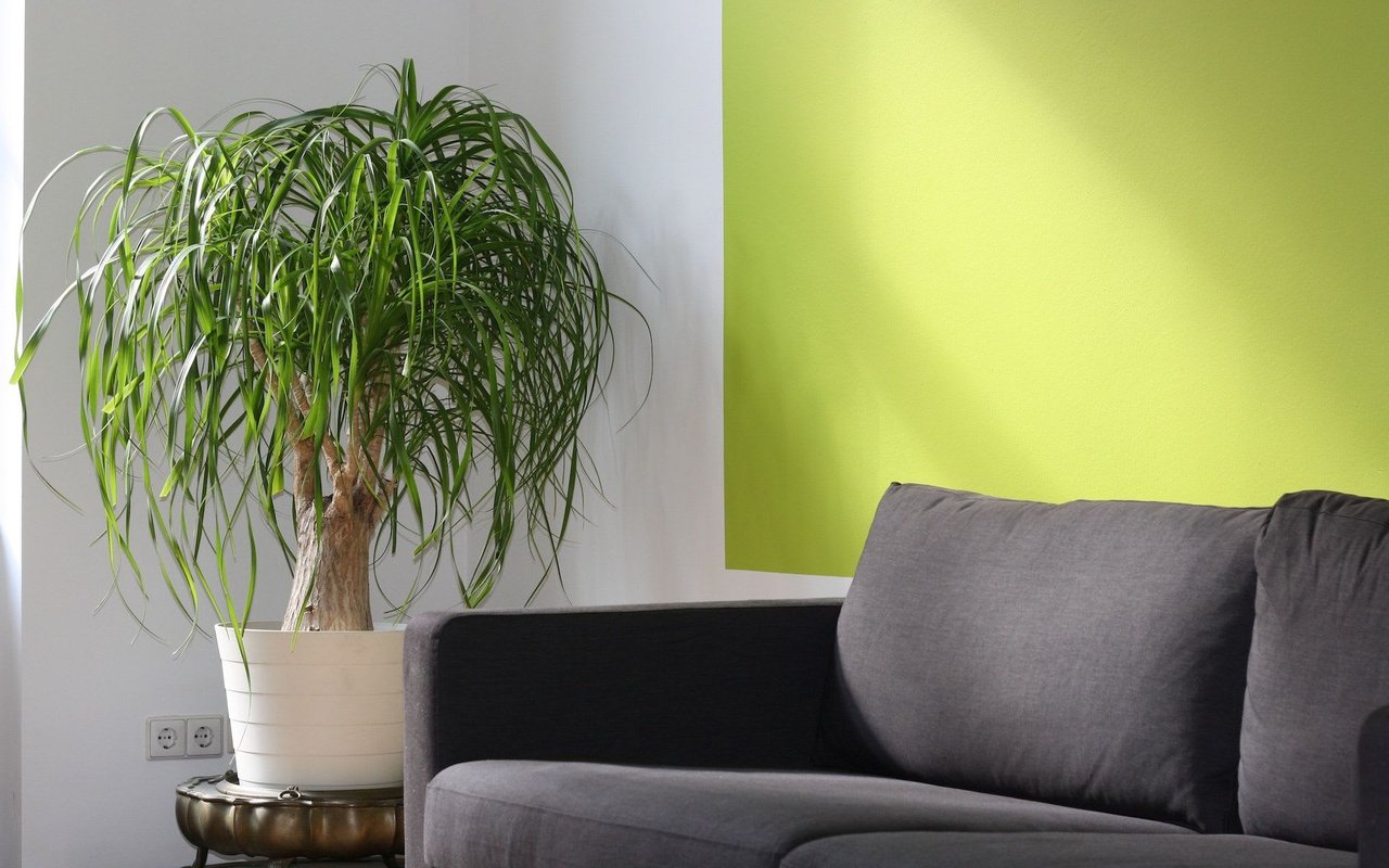 HOME SELLER'S STEP-BY-STEP GUIDE TO PREPARING FOR SHOWINGS