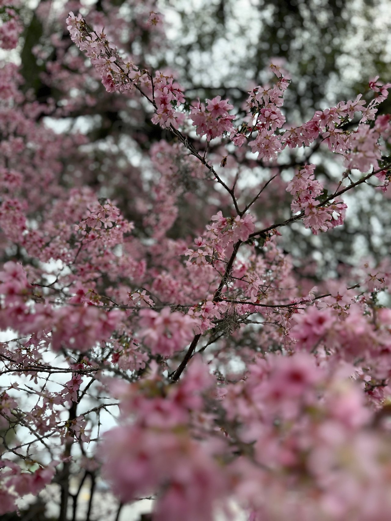 Spring Into Action