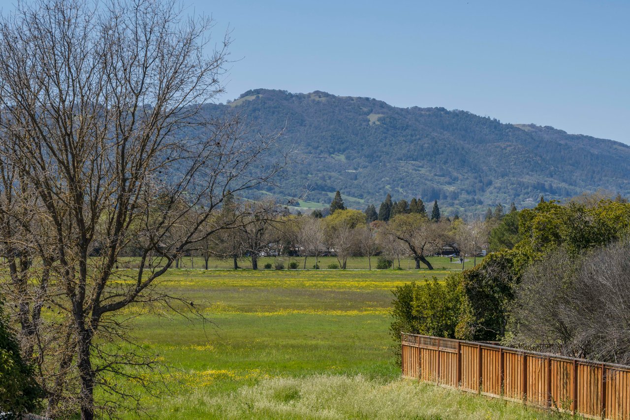 Sonoma Ice House