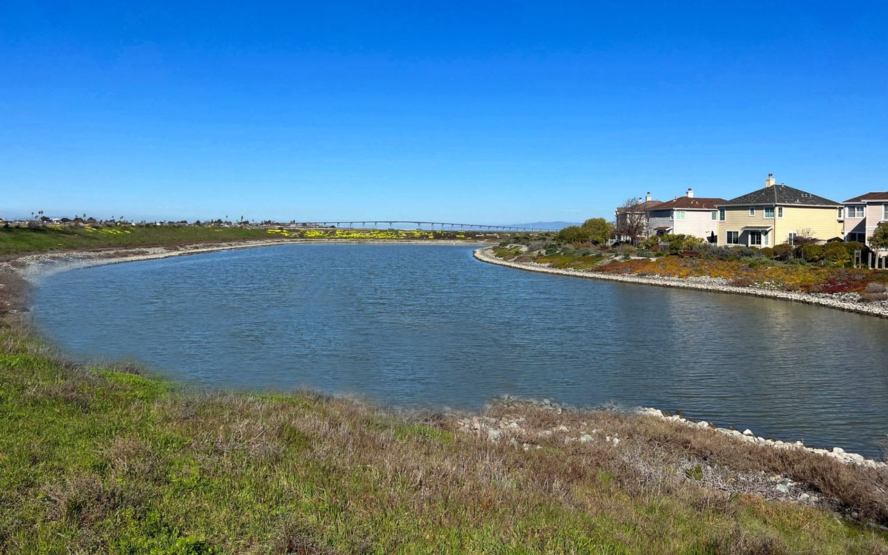 Redwood Shores