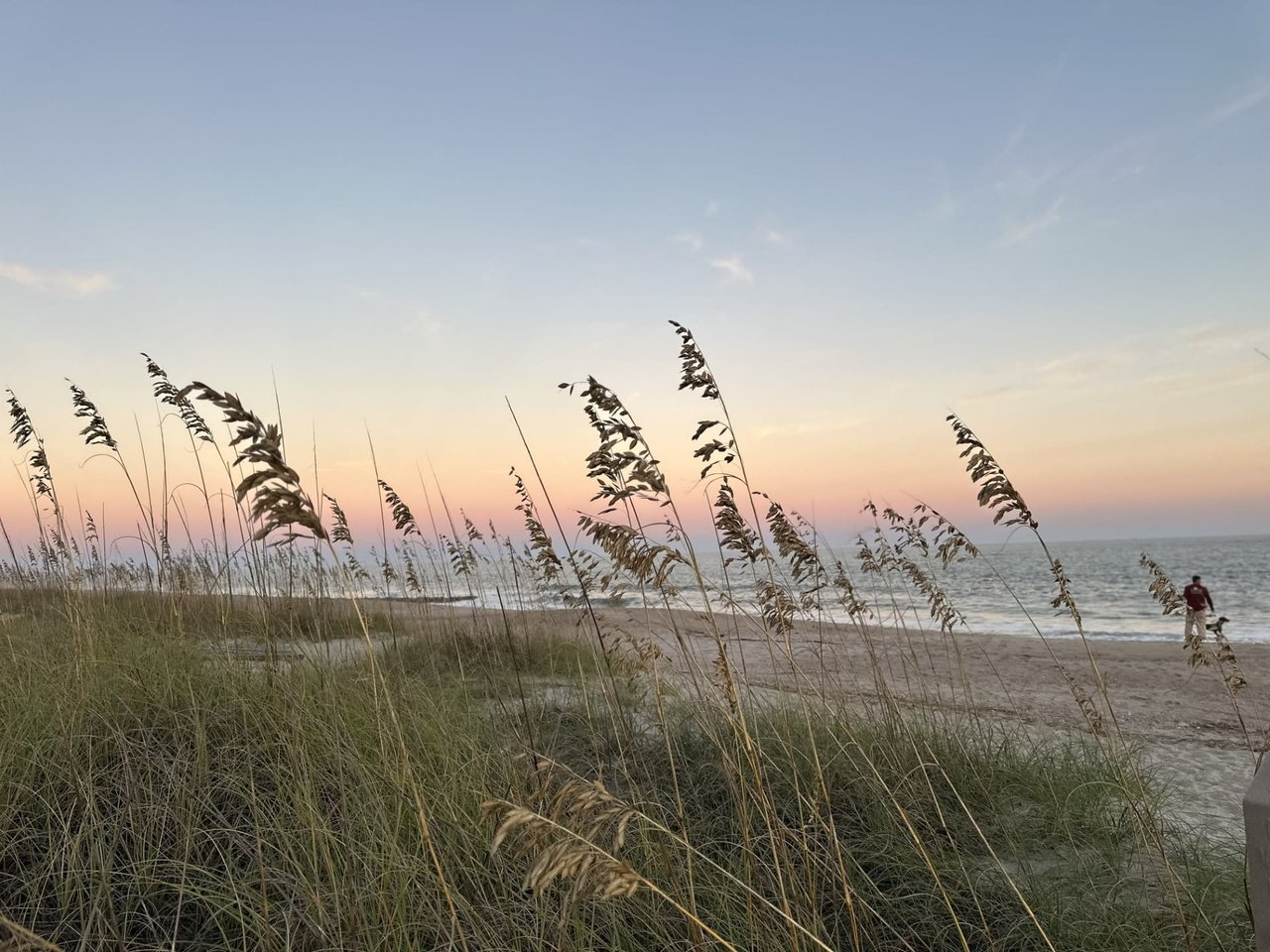 Edisto Island