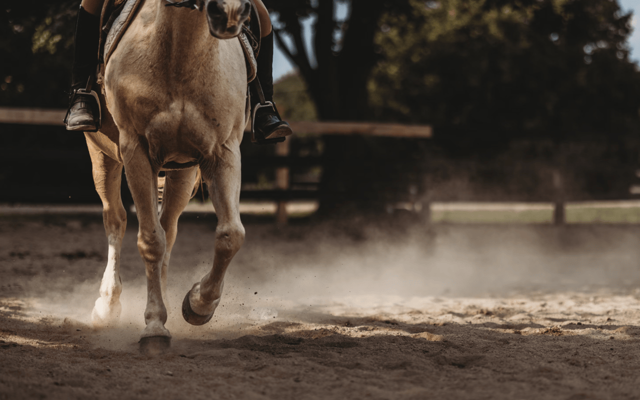 Equestrian Activities Near Palm Springs