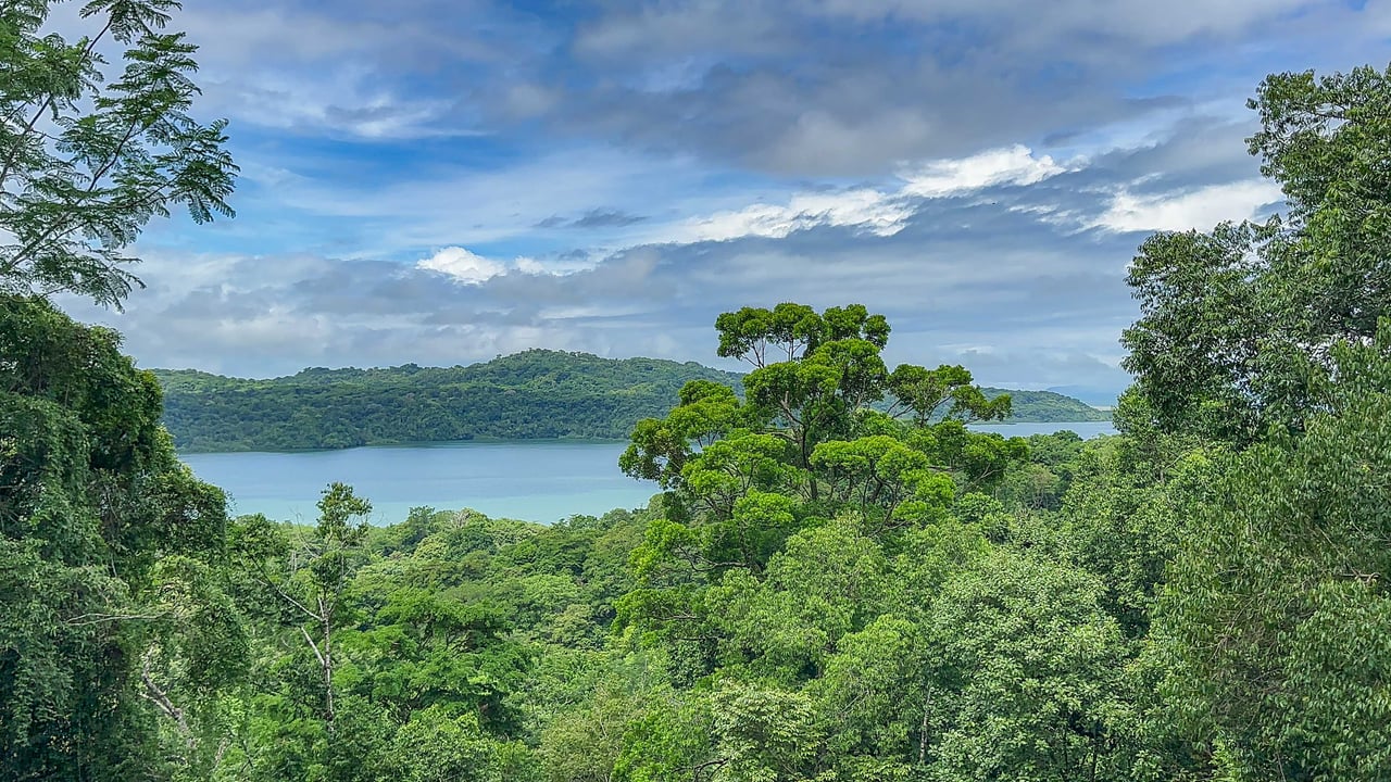 Prime 9.4-Acre Ocean View Land in Golfito