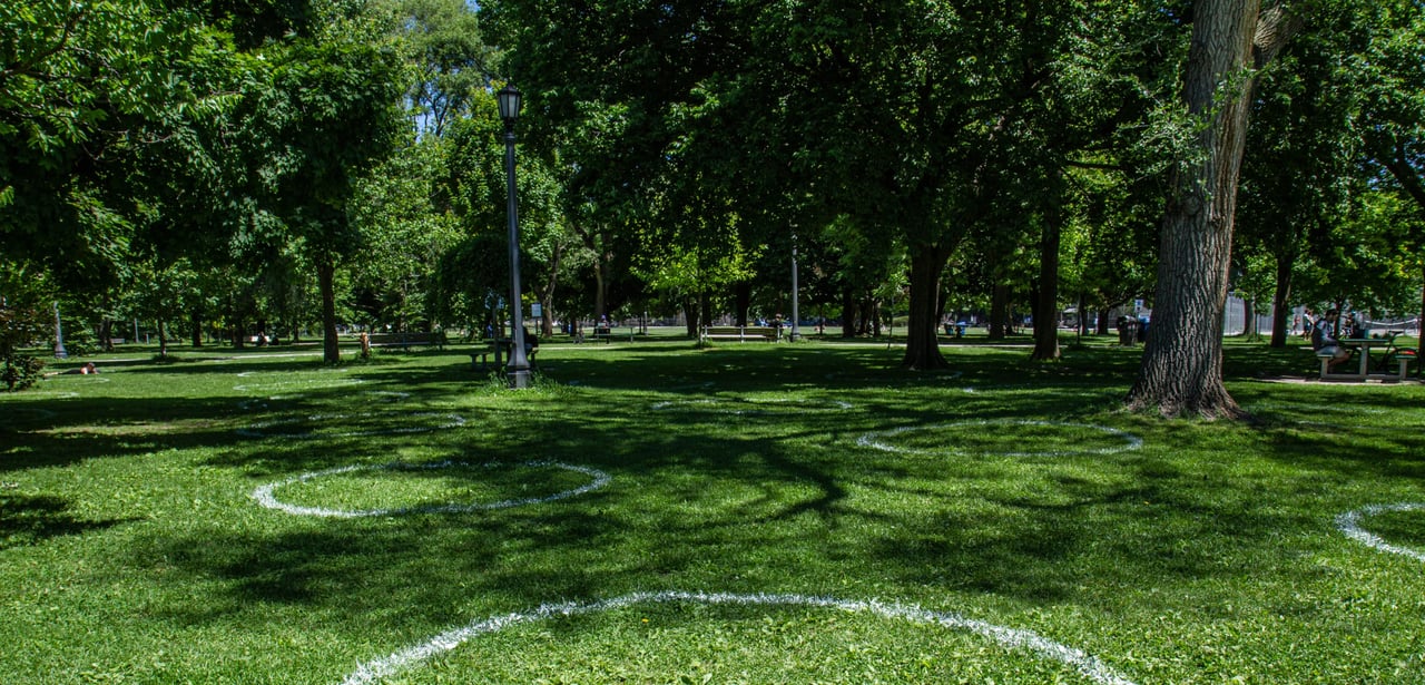 Trinity Bellwoods