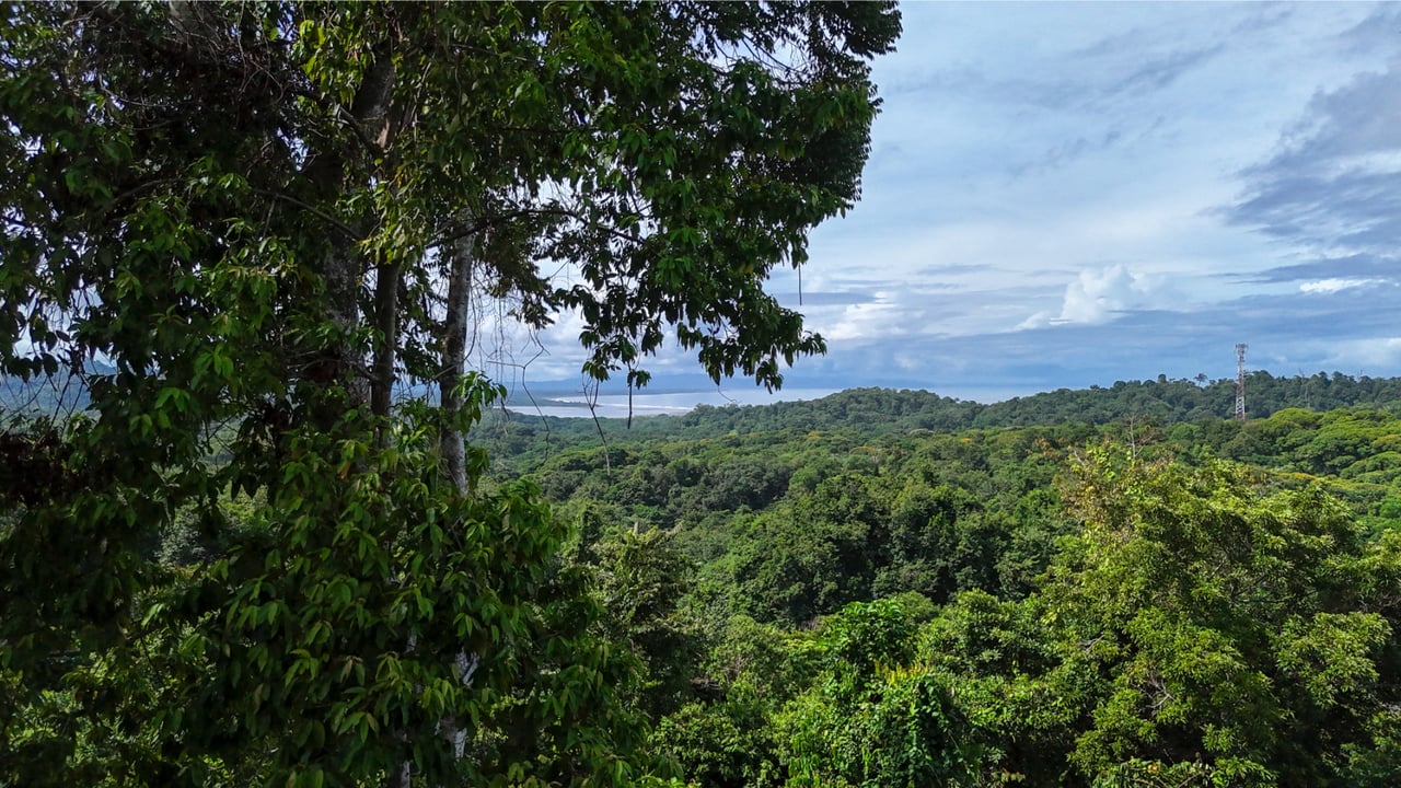 Secluded Ocean View Development Land, Ojochal, Puntarenas