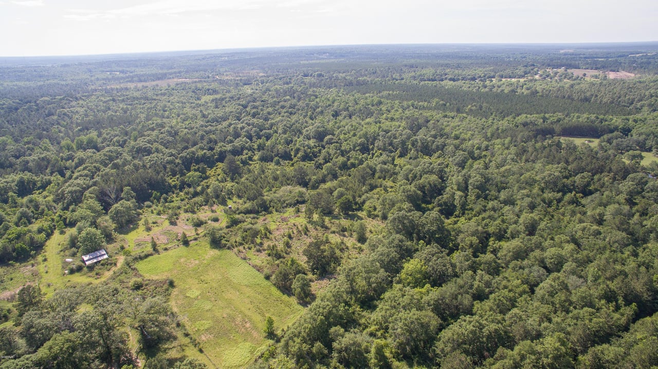 32331 Carey Smith Rd