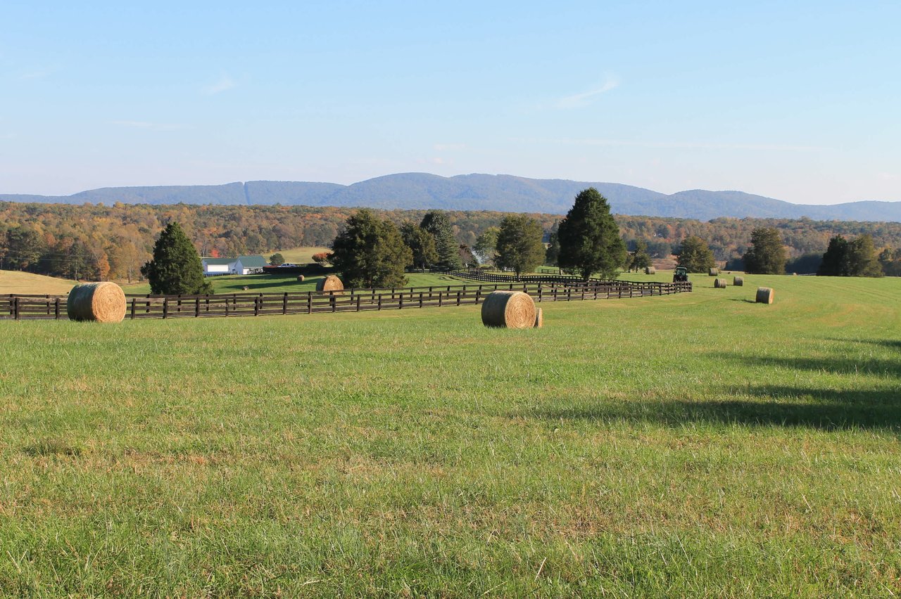 Why Would Anyone Want a Farm in Virginia?
