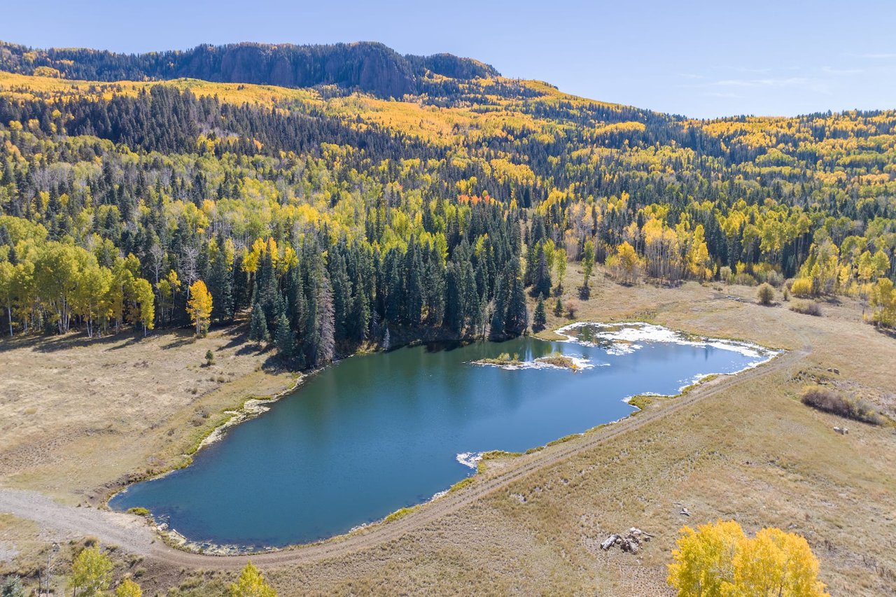 Mountain Bird Ranch