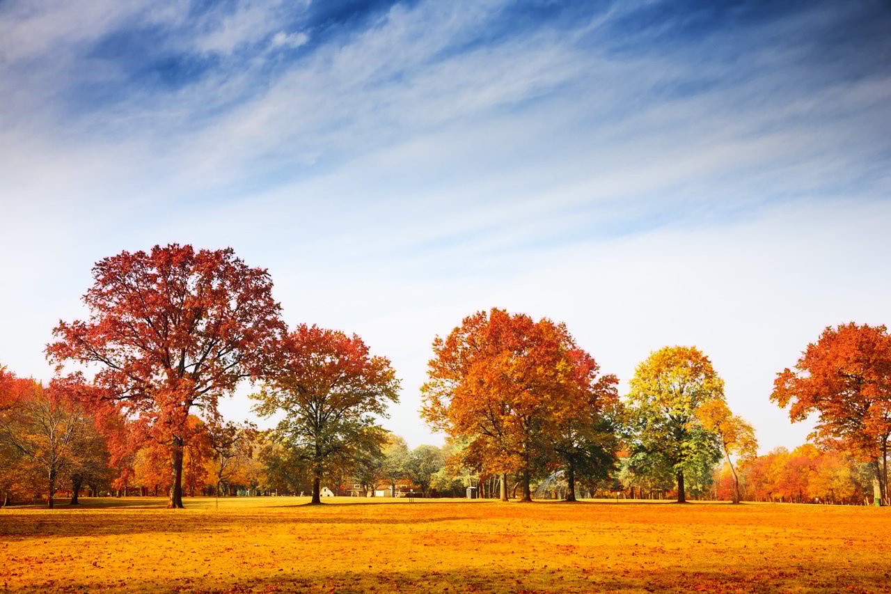 The Hamptons Real Estate Market During a Presidential Election Year: What History Tells Us