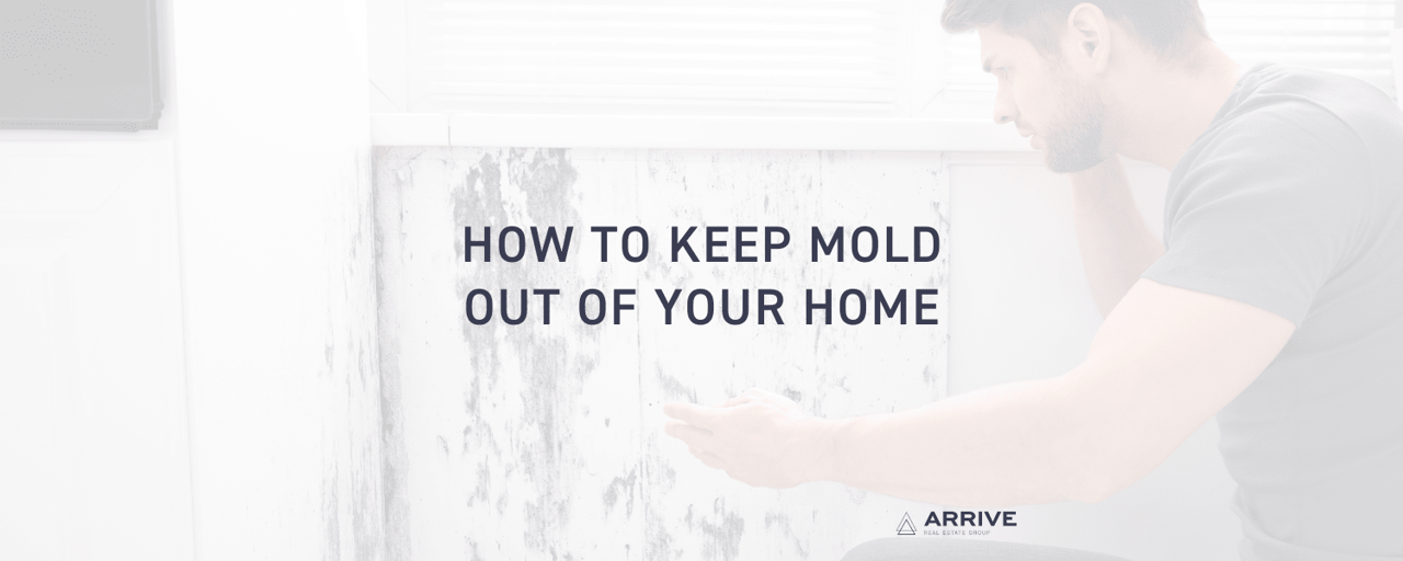 How to Keep Mold Out of Your Home