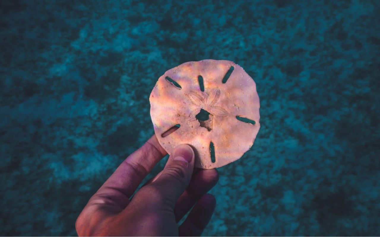 Things to Do in Nassau, Bahamas