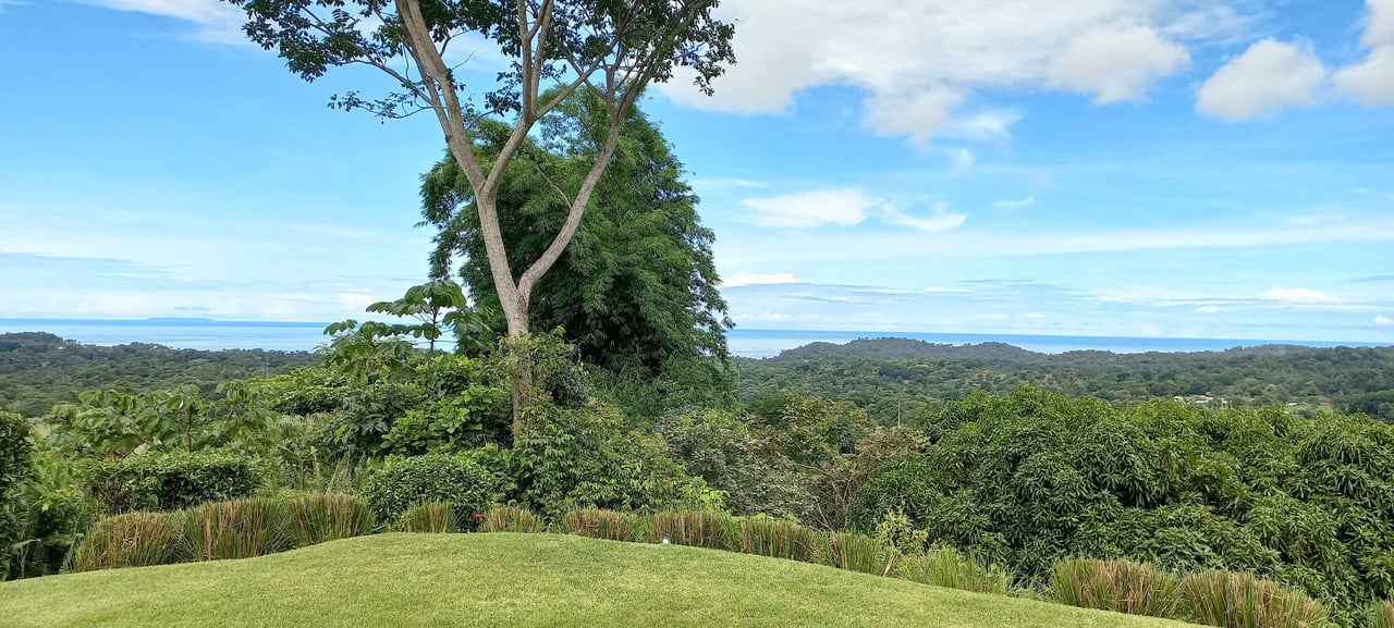 Elegant Estate with Ocean & Jungle Views