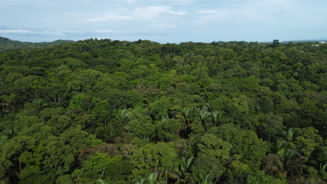 Large Development Acreage, Manuel Antonio, Puntarenas