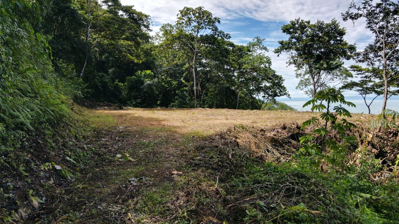 Panoramic Ocean View Lot, Dominical, Puntarenas