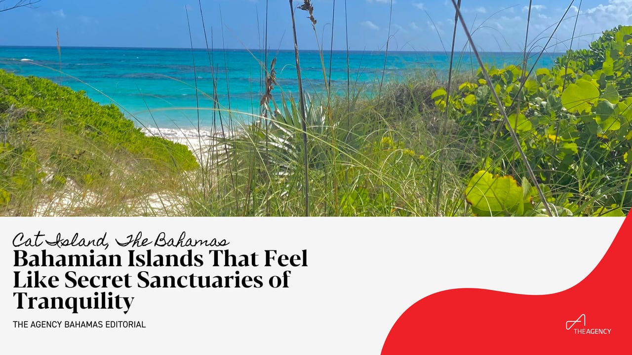  A vibrant tropical beach scene viewed from behind grassy dunes.