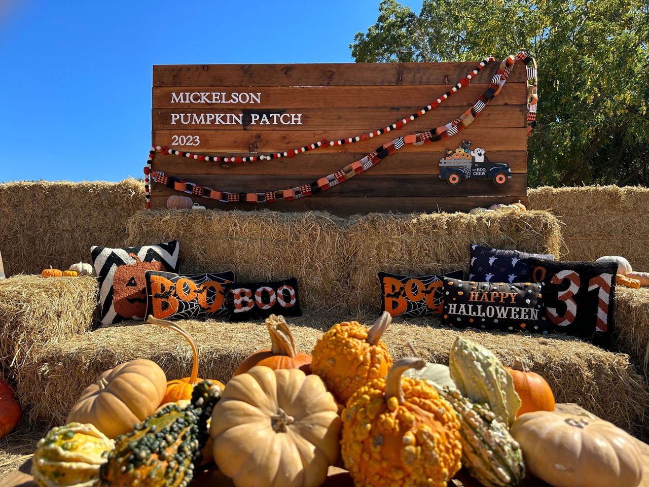 Fall Fun Awaits at Mickelson Pumpkin Patch