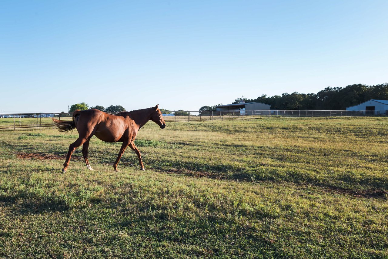 Buena Vista Ranch 