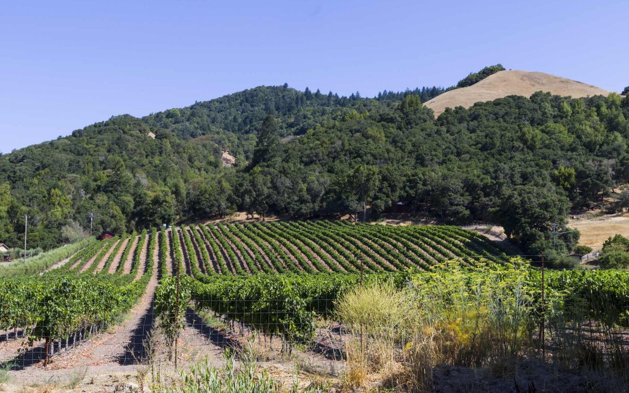 Santa Rosa