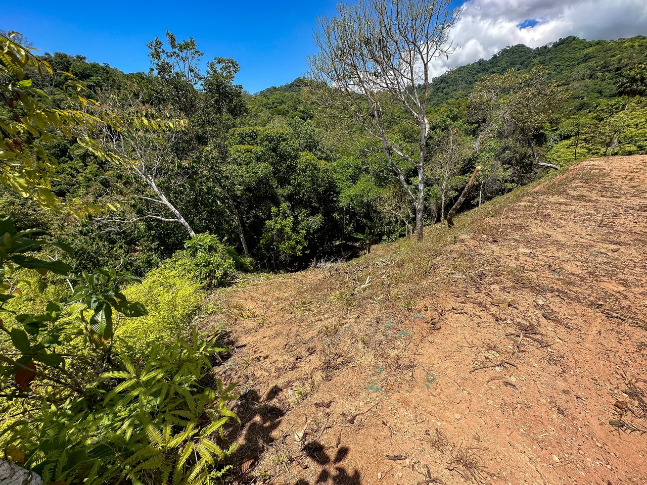 An elevated, prepared river lot with 360-degree ocean, mountain, valley and jungle views