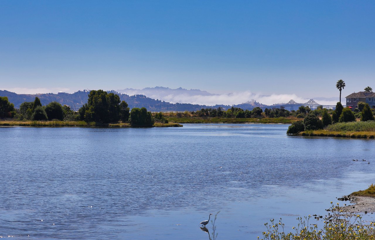 Vacation at Home on the Marin Bayshore