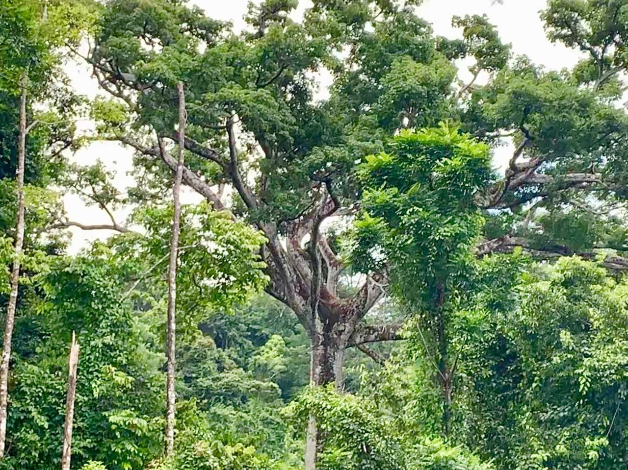 Triple Waterfall Ocean View Land, Dominical, Puntarenas