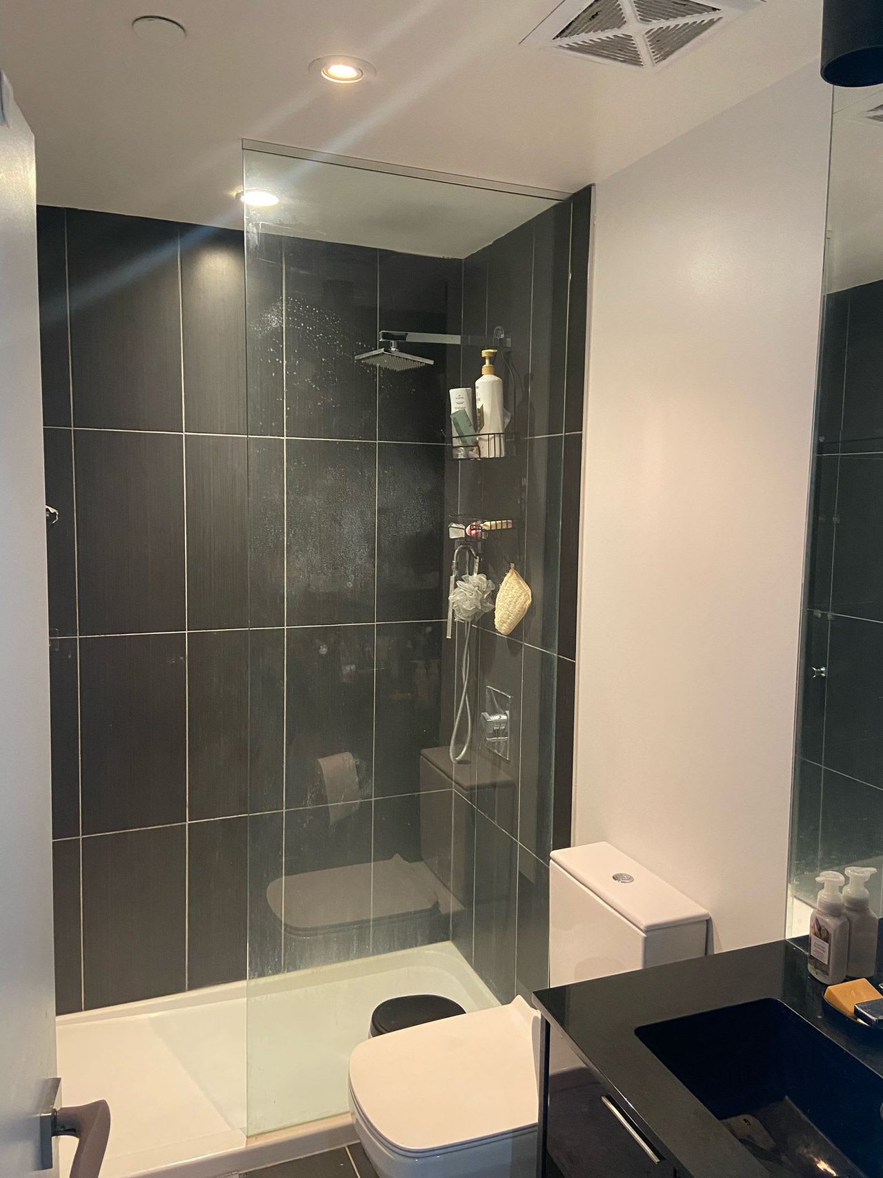70 Temperance St, Unit 4517