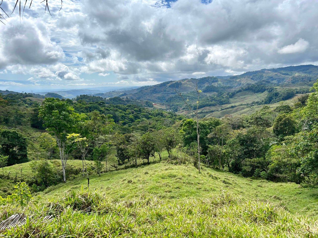 Hidden Gem: Serene Farm Retreat with Majestic Views in Costa Rica