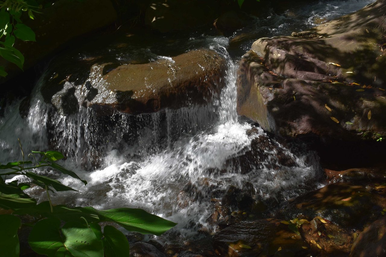 Rio Chiquito Farm | This farm offers an expansive canvas to bring your dreams to life in the majestic Guanacaste mountain rainforest region.