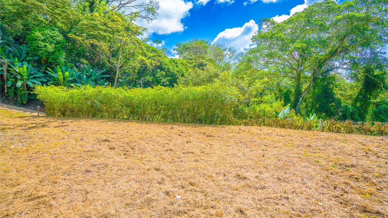 Forest View Build Ready Lot, Ojochal, Puntarenas