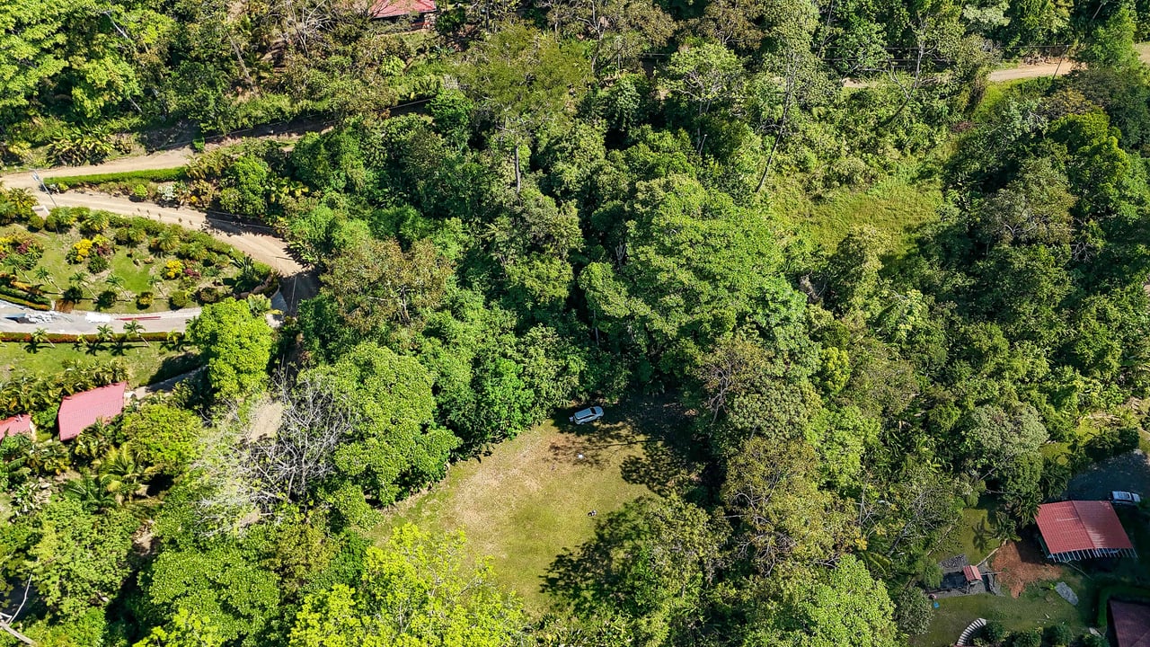 A prepared, 1.5 Acres jungle immersed lot with spectacular views of the Whale’s Tail. 