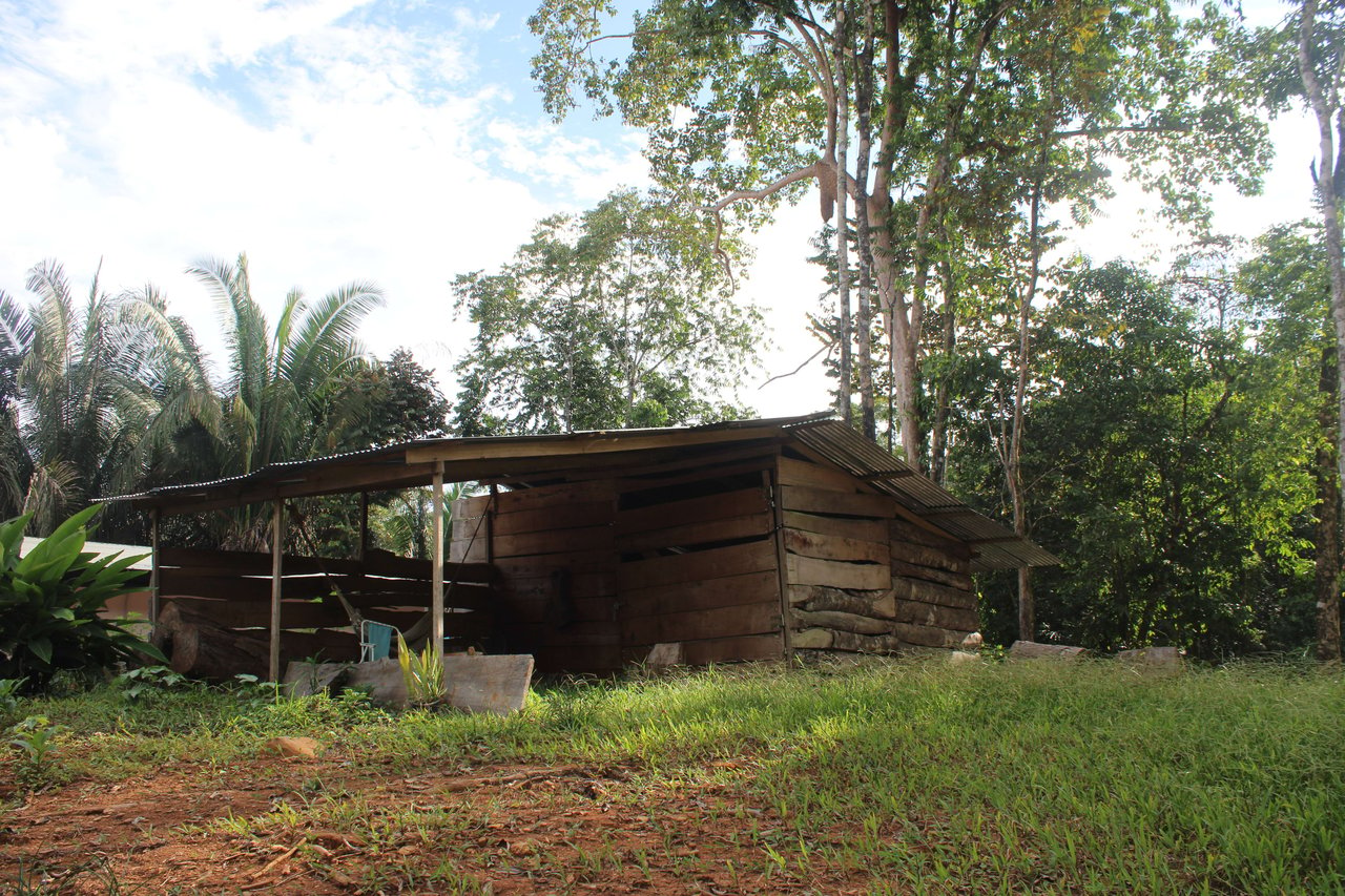 River Frontage Lot close to Uvita