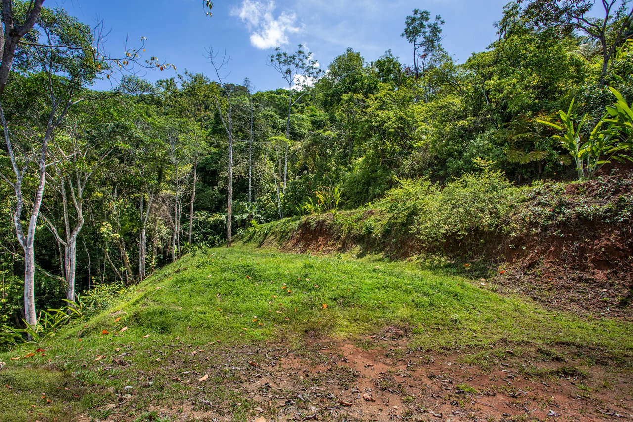 Rainforest Ridge Ocean View Ranch, Manuel Antonio, Puntarenas