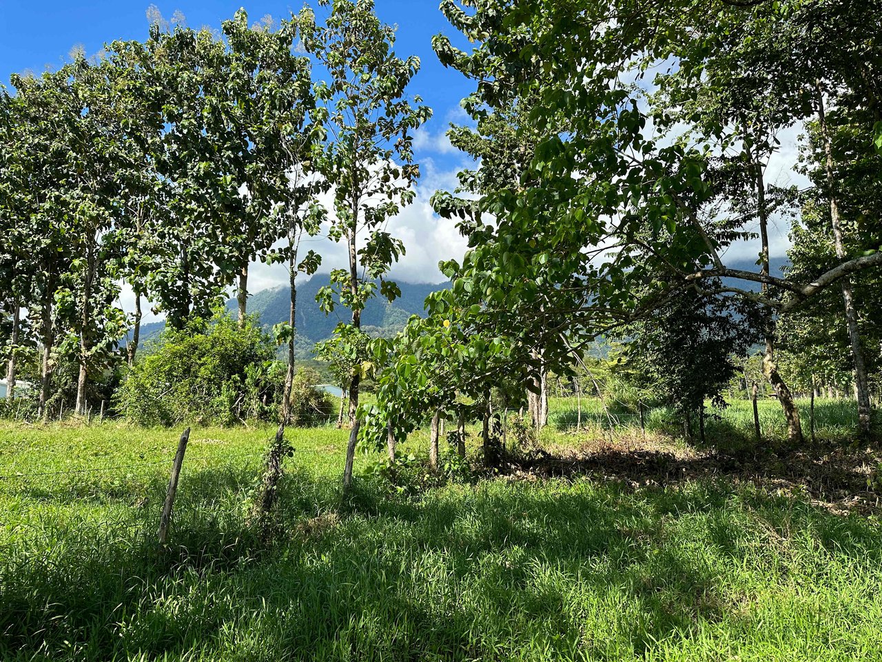 Over 3 Acres, Mountain View Lot in the Heart of Ojochal, Ready for Development!.