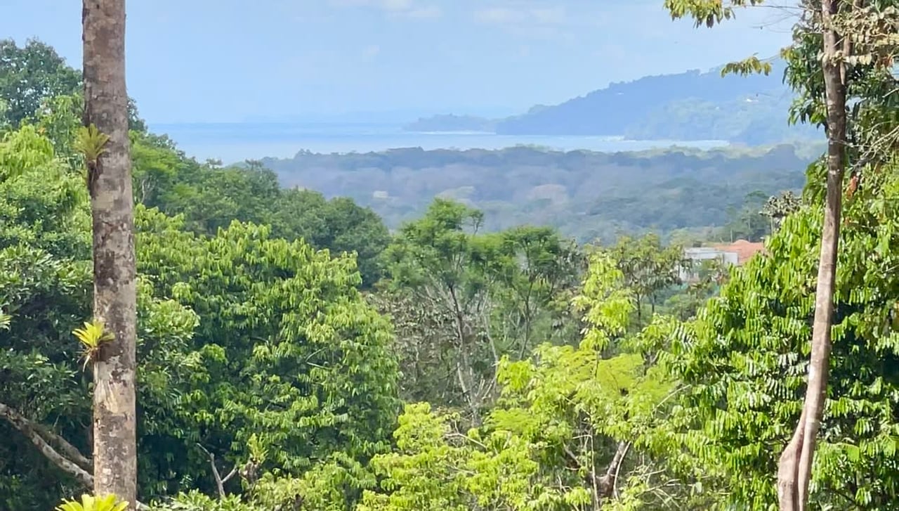 UVITA, Gated Community, Oceanview Land for Sale Ready to Build! Lot 33