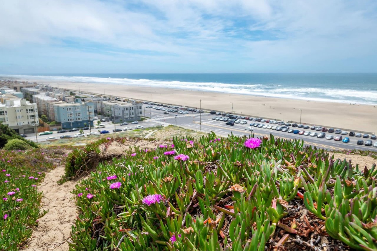 Everything You Need to Know About Moving to Richmond District, San Francisco