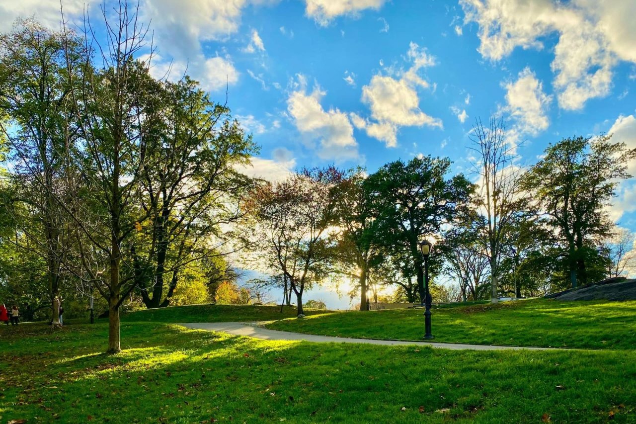 A scenic park with green grass, trees, a winding path, and sun-dappled shadows.