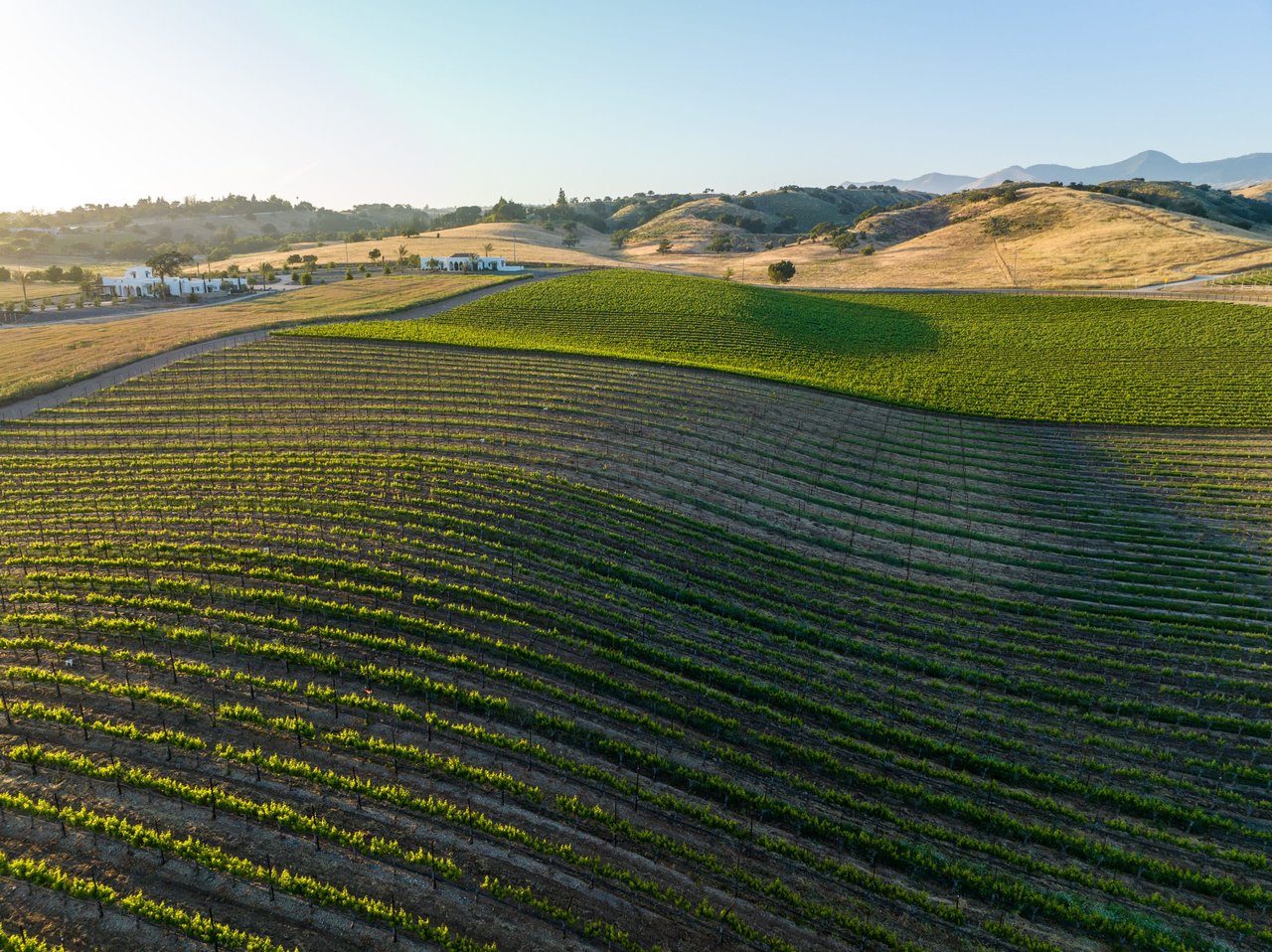 Build your Dream Vineyard Estate