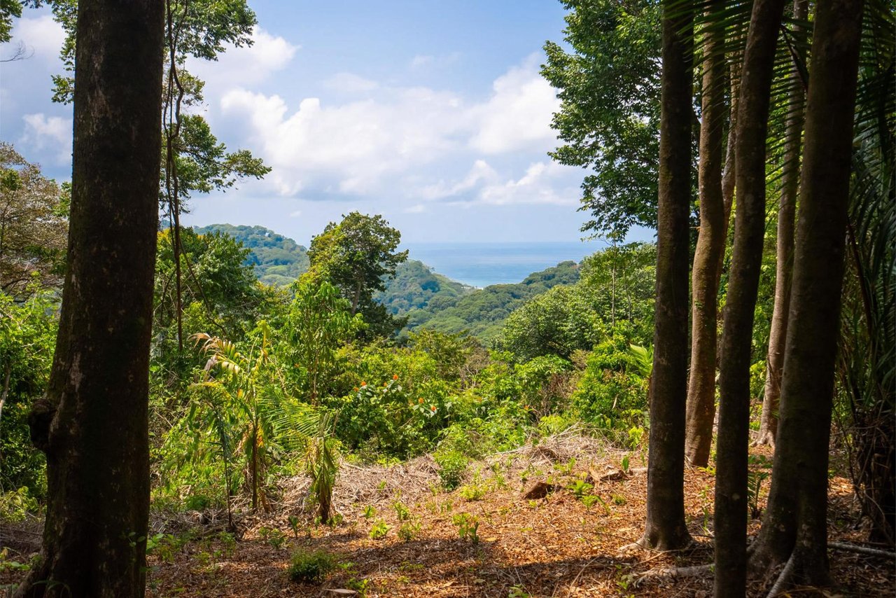 Private Ocean View Development Lot, Dominical, Puntarenas