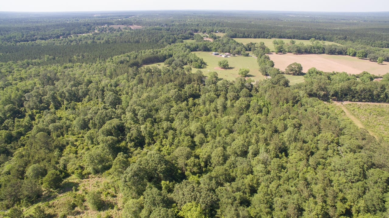 32331 Carey Smith Rd