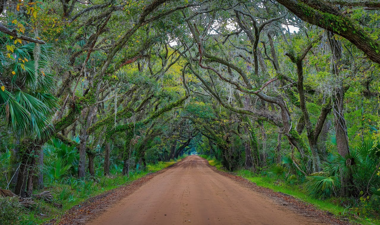 Edisto Island & Beach